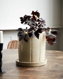 House Doctor -House Doctor 507028 01 2 EnvironmentImage 0934ceab58